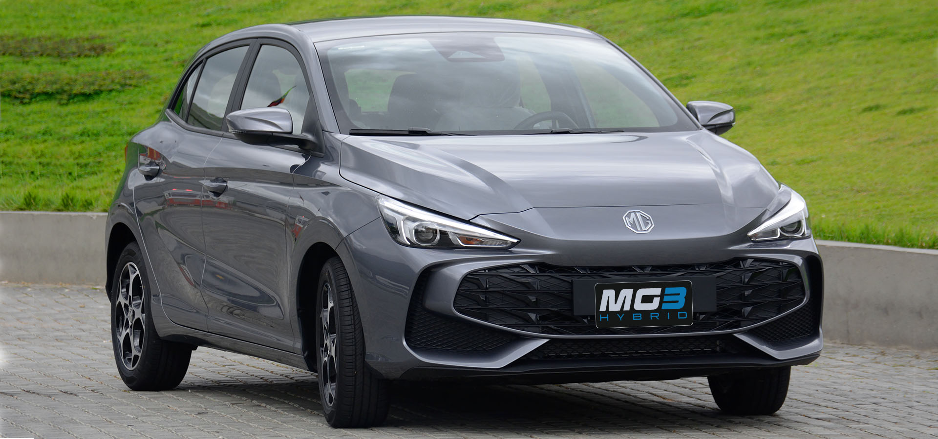 MG_3 HYBRID_0004_08